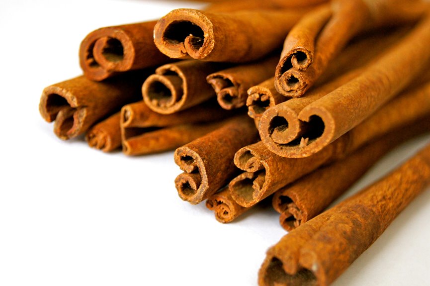 Especiarias Exóticas: Benefícios e Usos da Canela em Receitas e Saúde